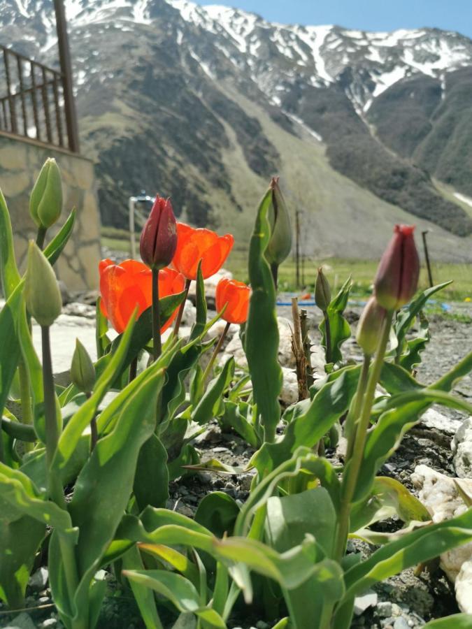 Hotel Diamond Kazbegi ภายนอก รูปภาพ