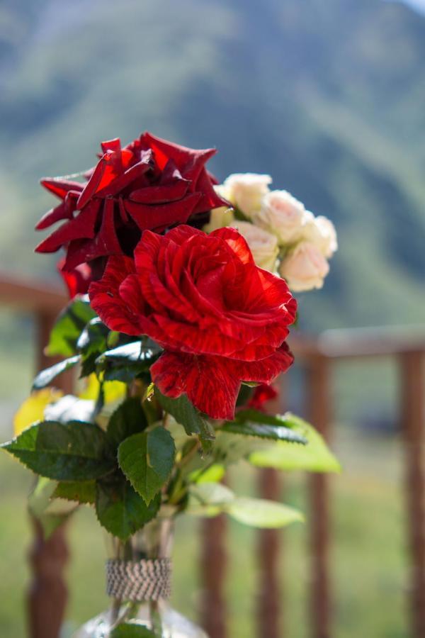 Hotel Diamond Kazbegi ภายนอก รูปภาพ